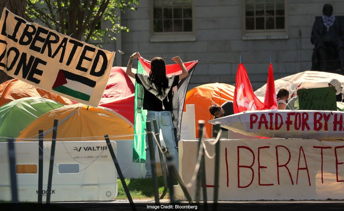 Harvard University Faces Off With Student Protesters As MIT Clears Camps